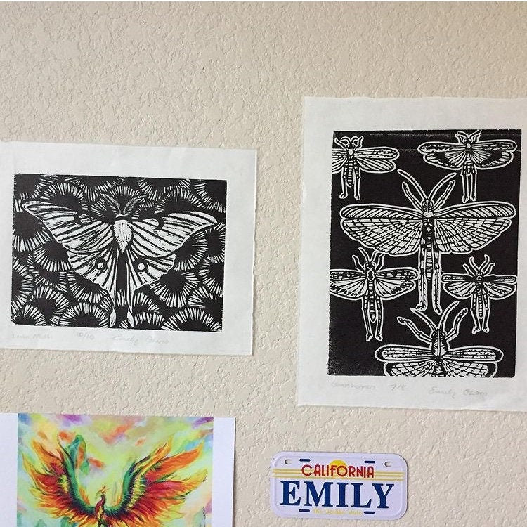 Luna Moth print
