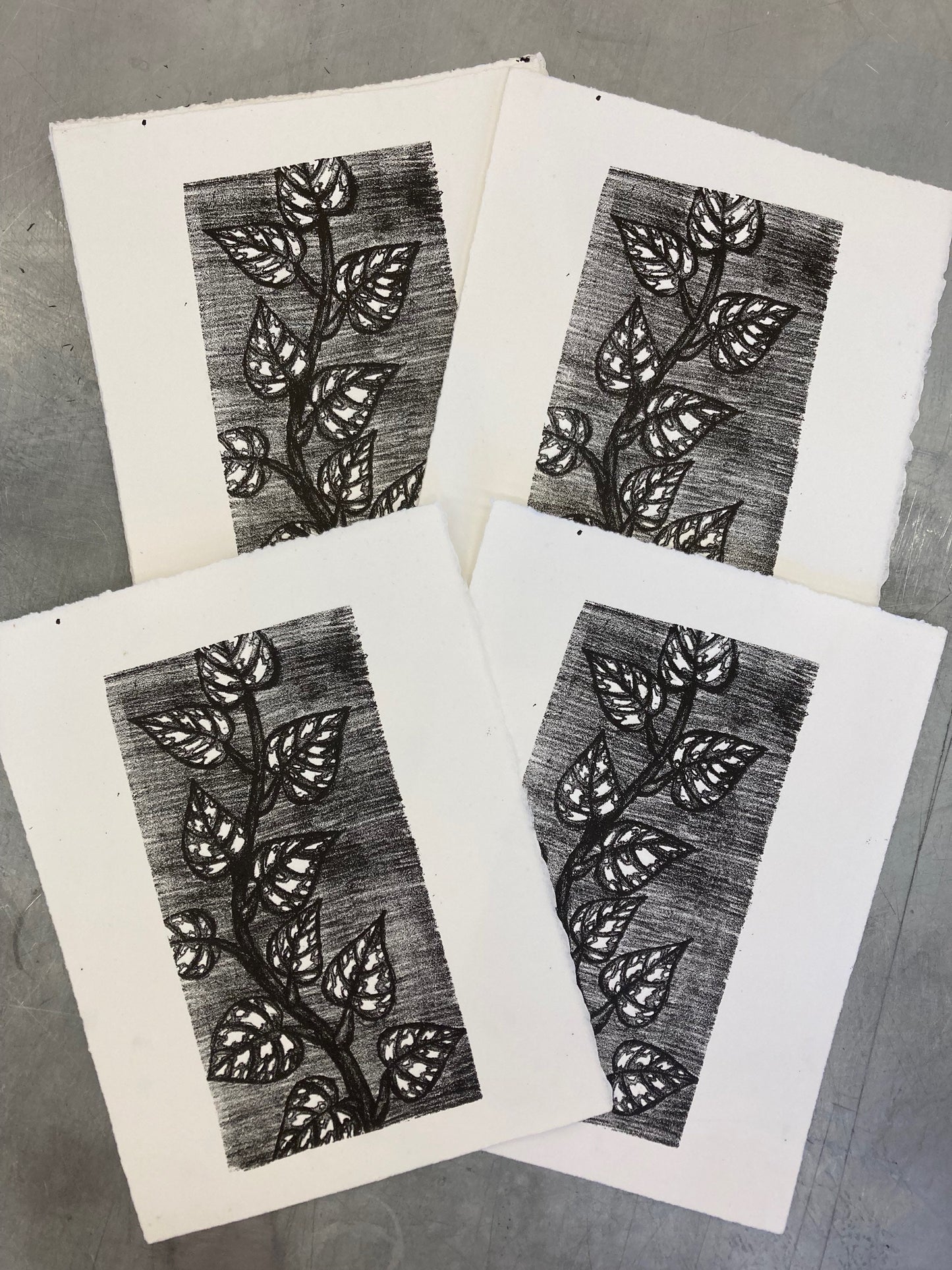 Satin Pothos Print