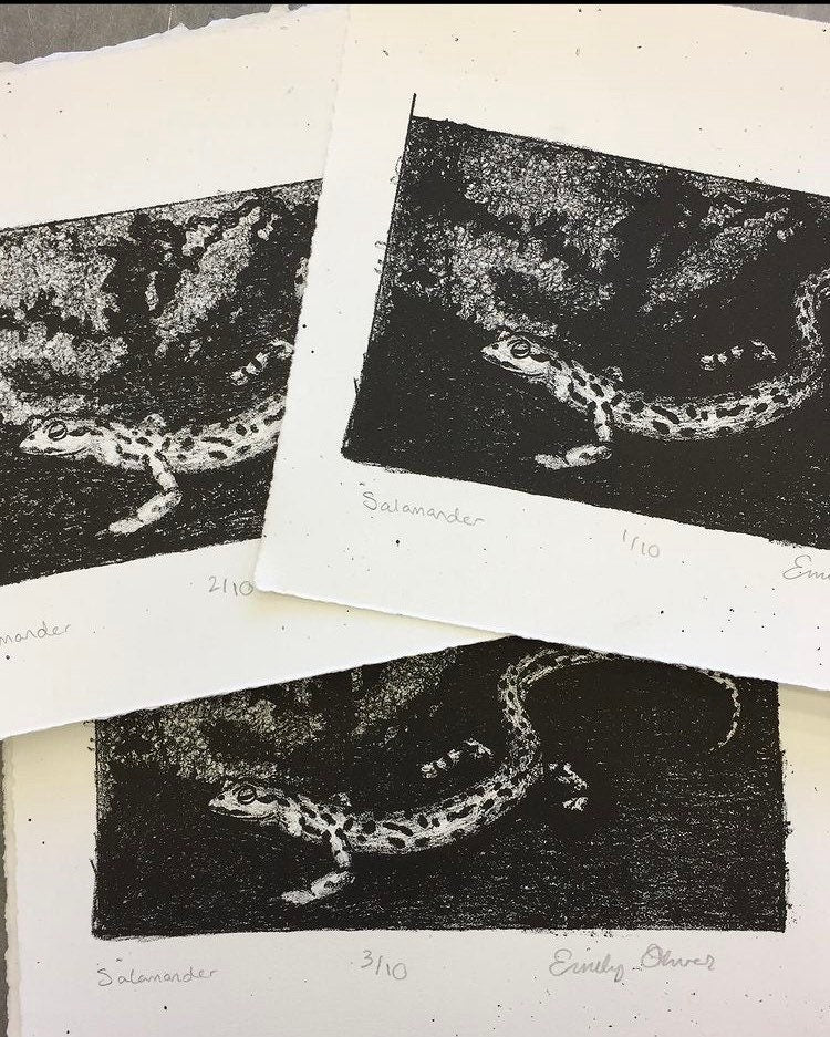 Salamander print