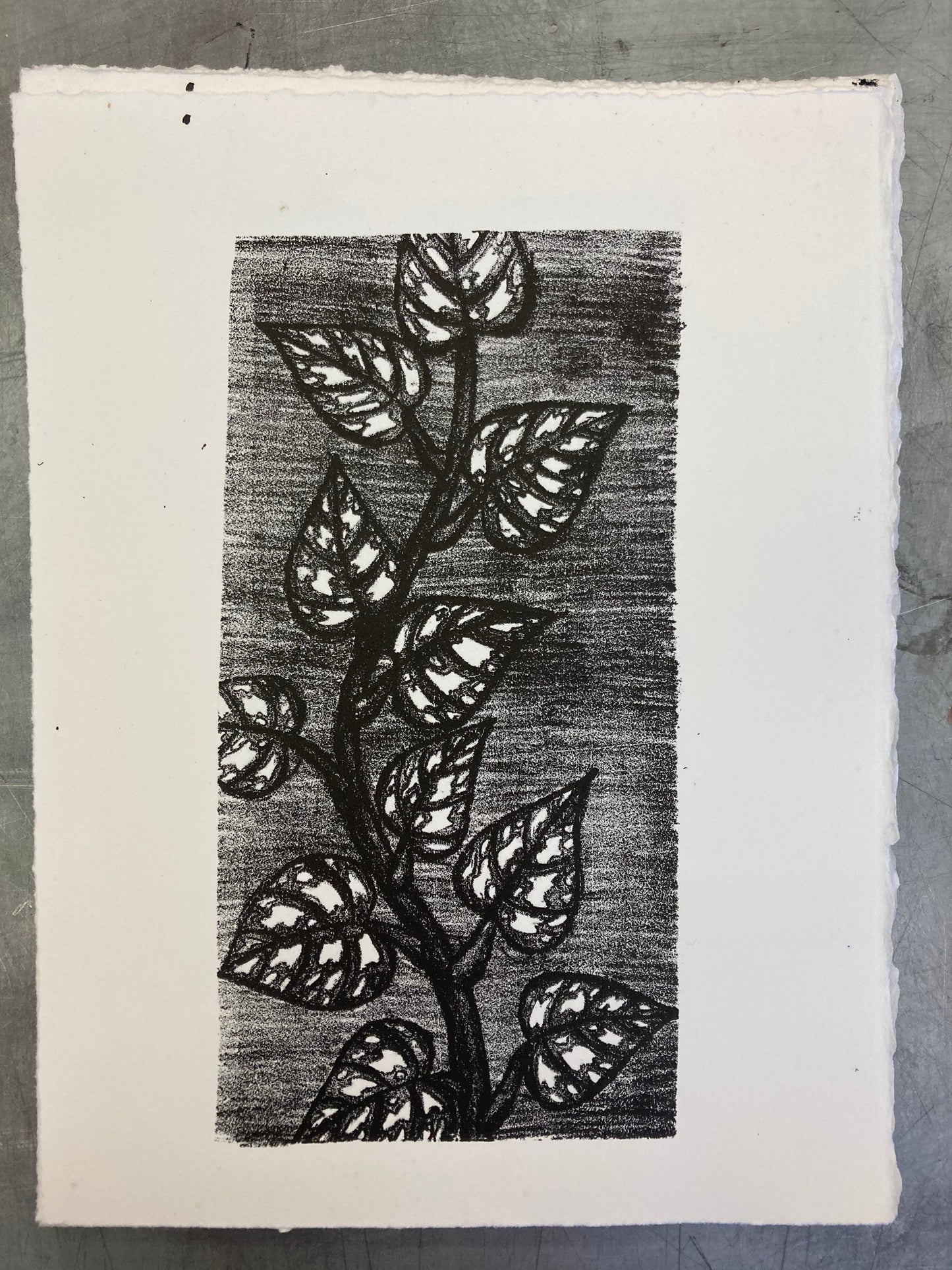 Satin Pothos Print