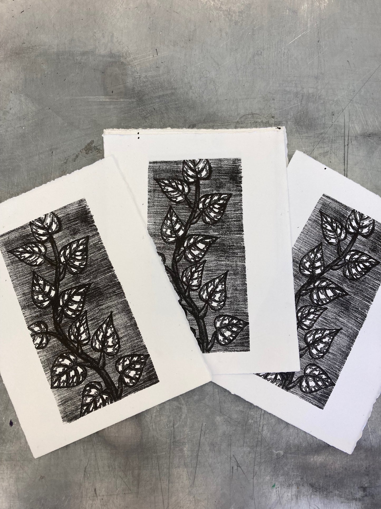 Satin Pothos Print