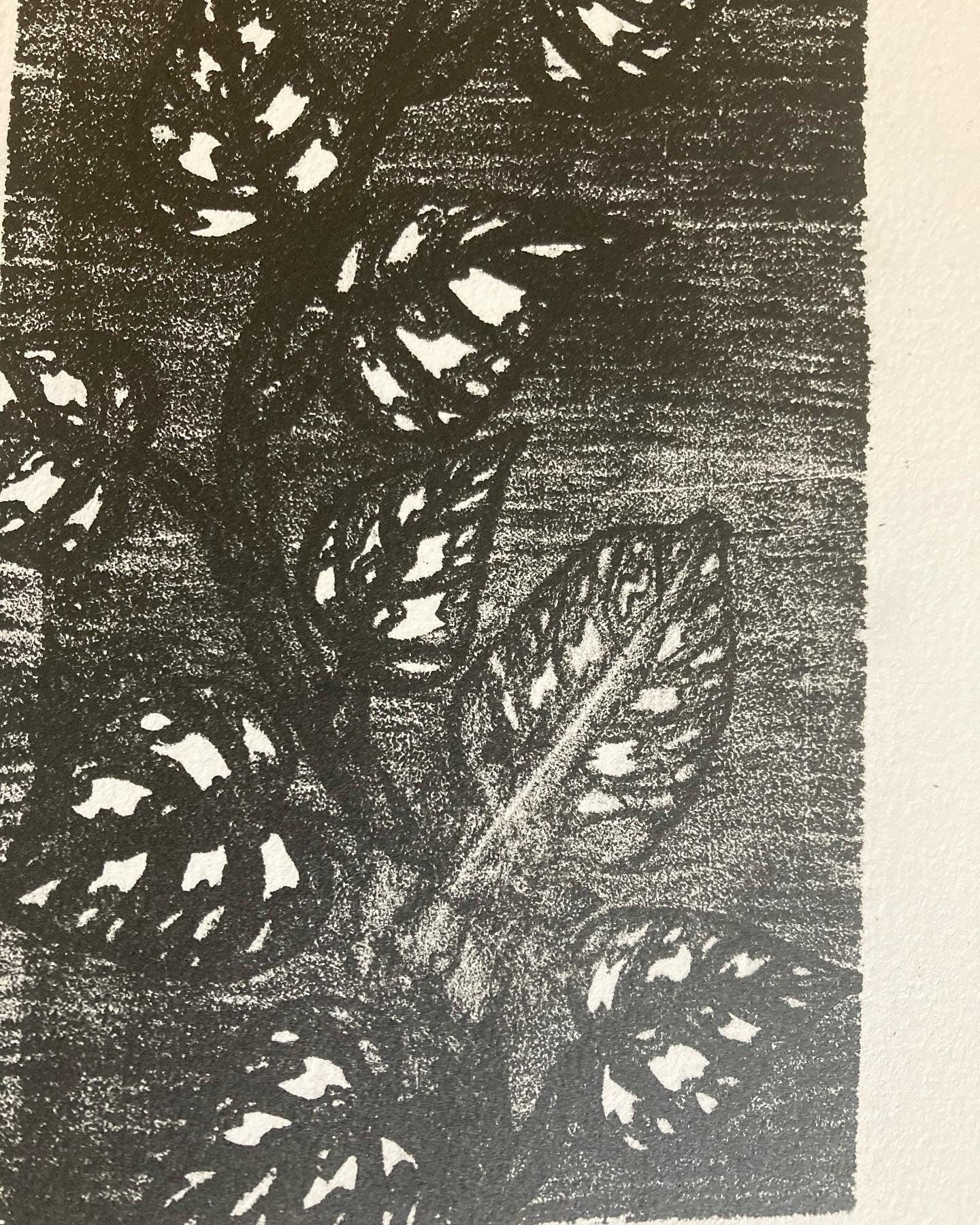 Satin Pothos With Leafbug print