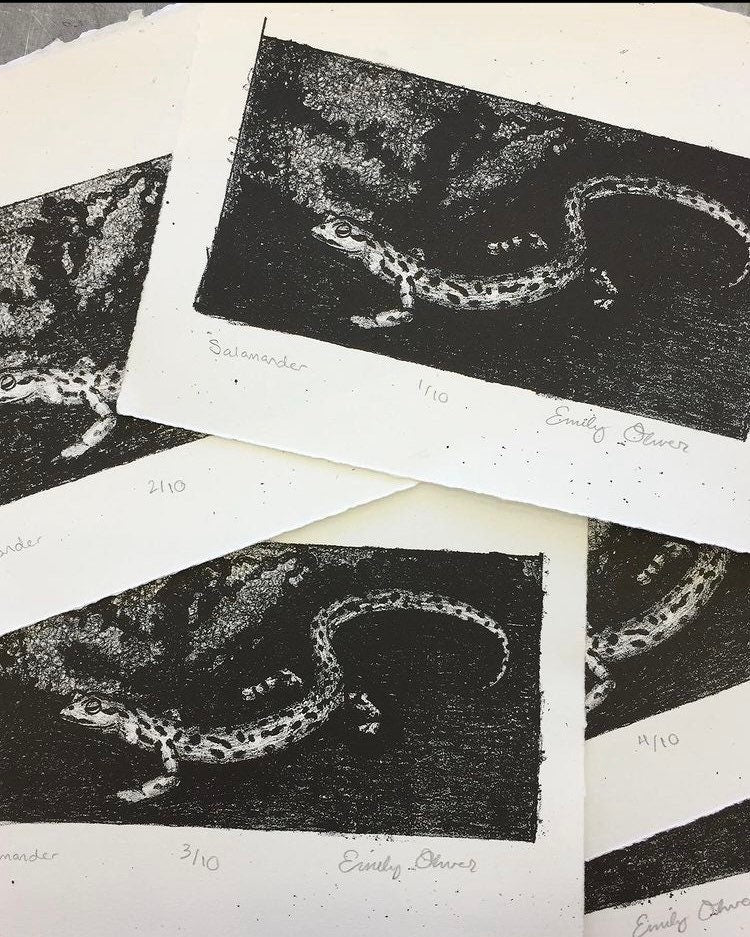 Salamander print