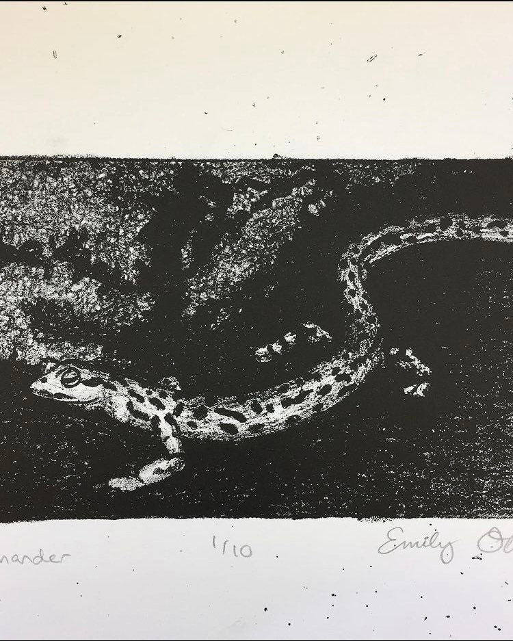 Salamander print