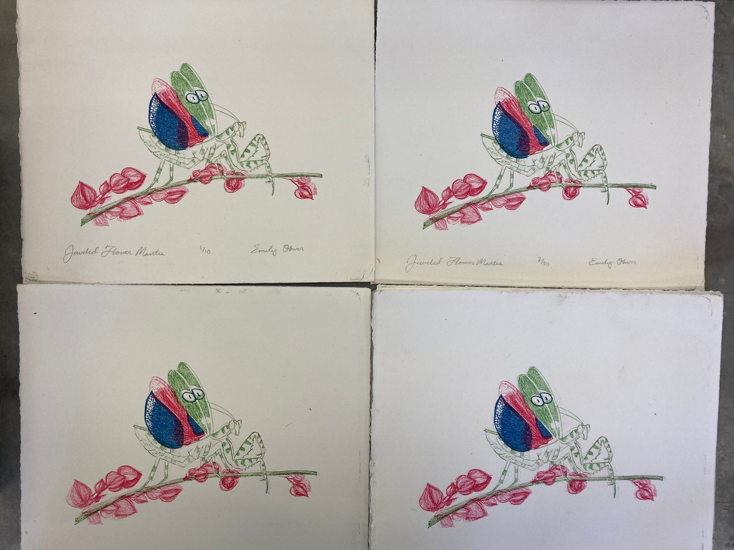 Flower Mantis Color Litho Print