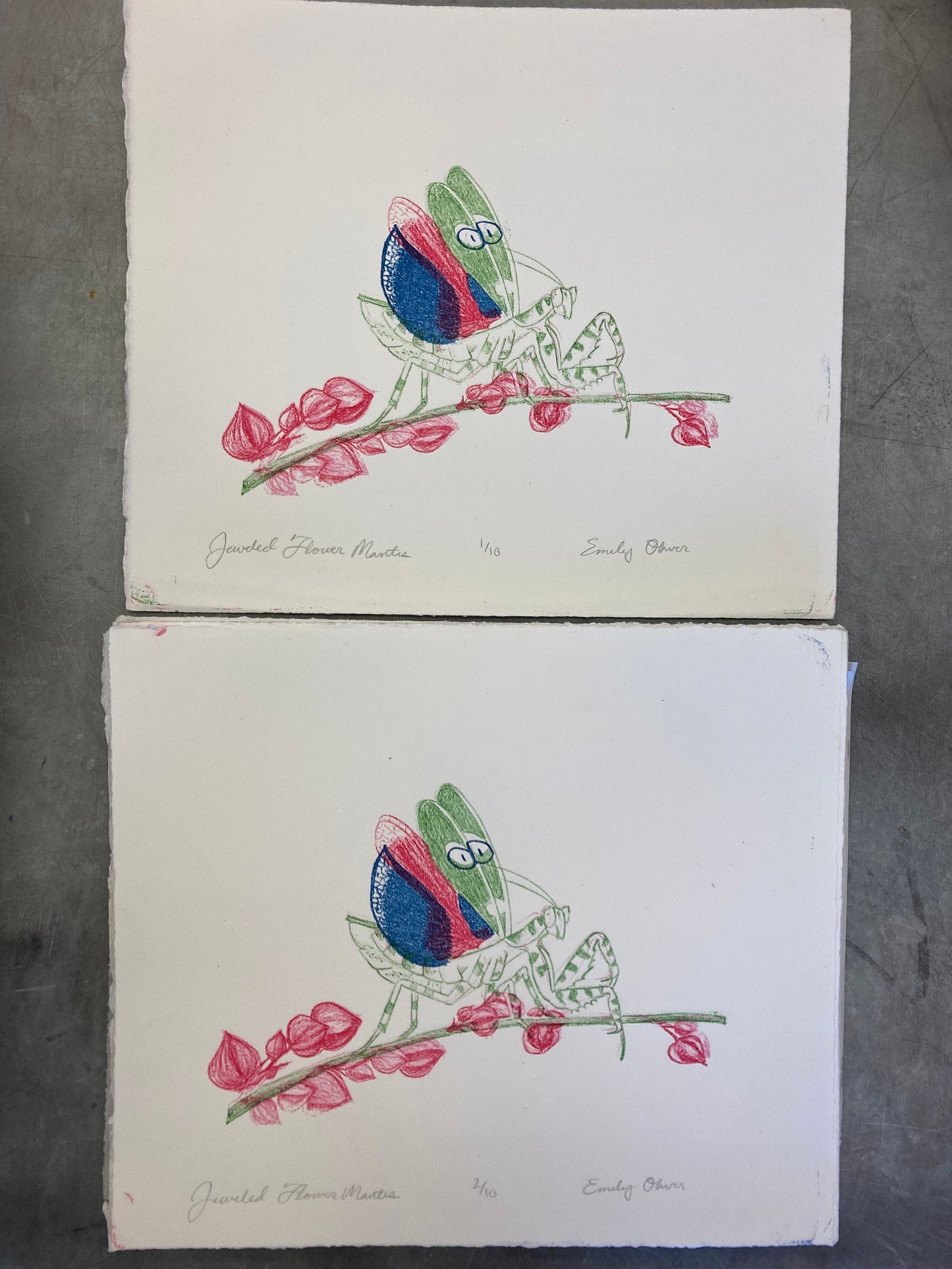 Flower Mantis Color Litho Print