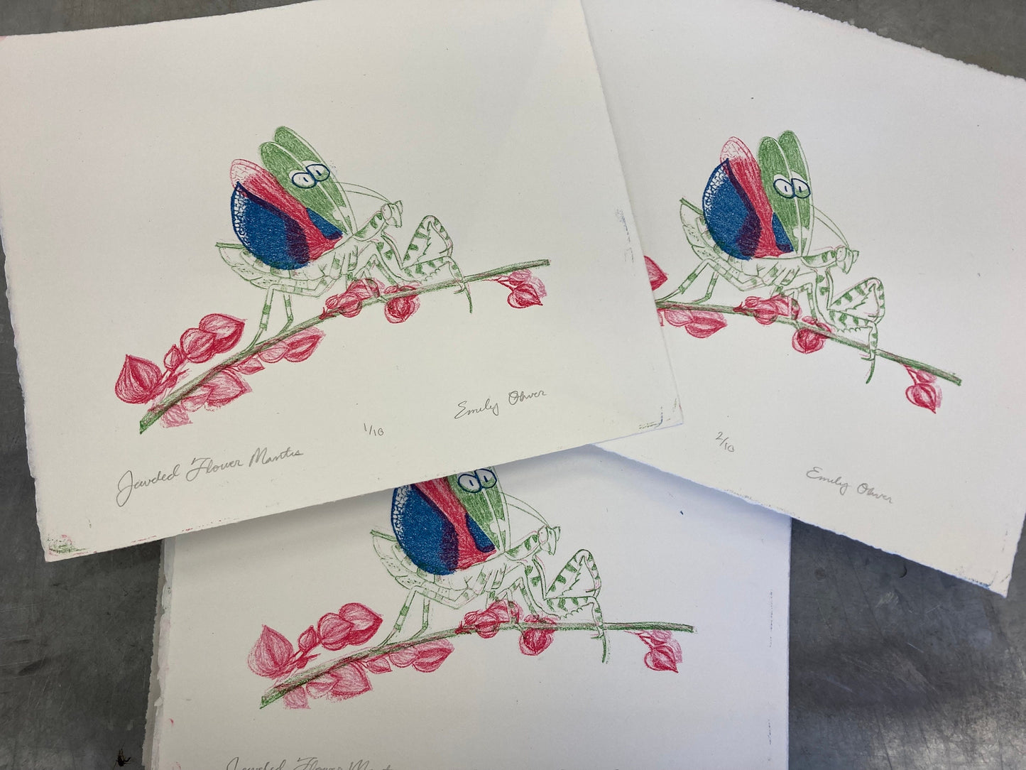 Flower Mantis Color Litho Print