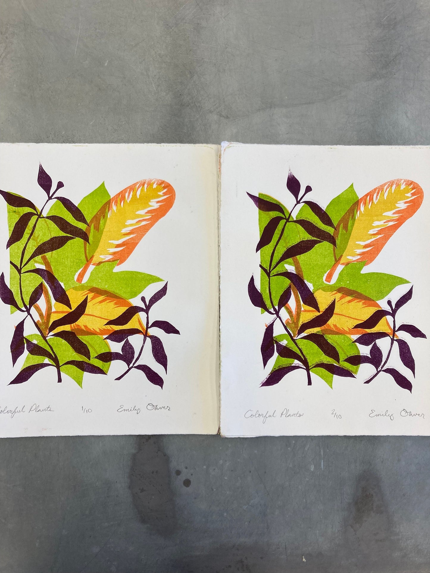 Houseplants Color Litho Print