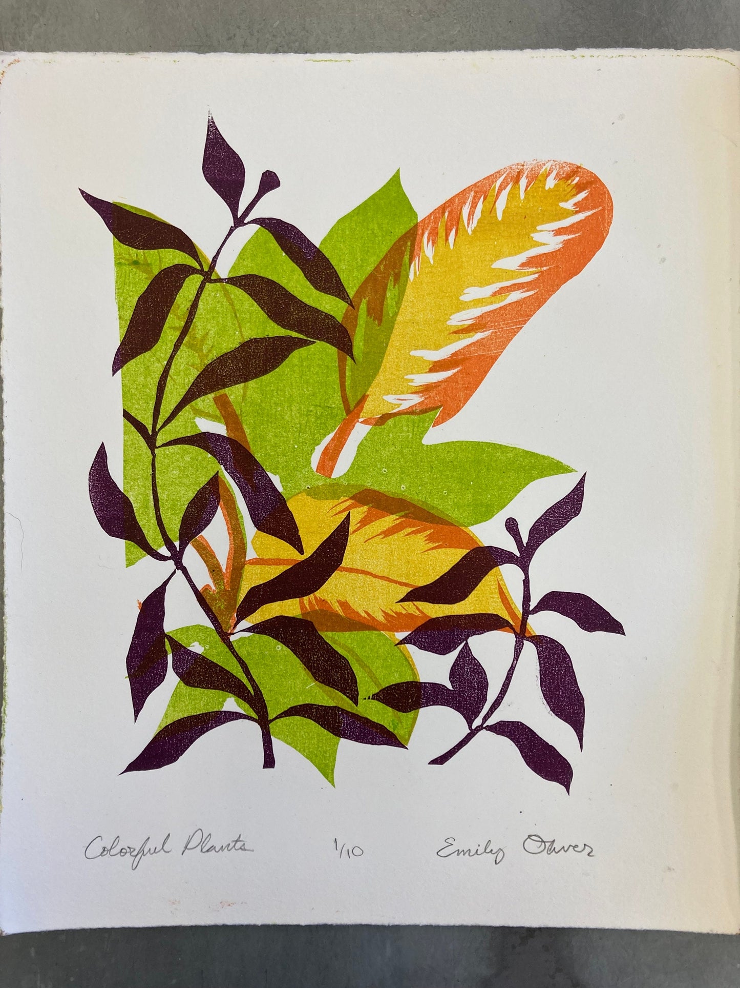 Houseplants Color Litho Print
