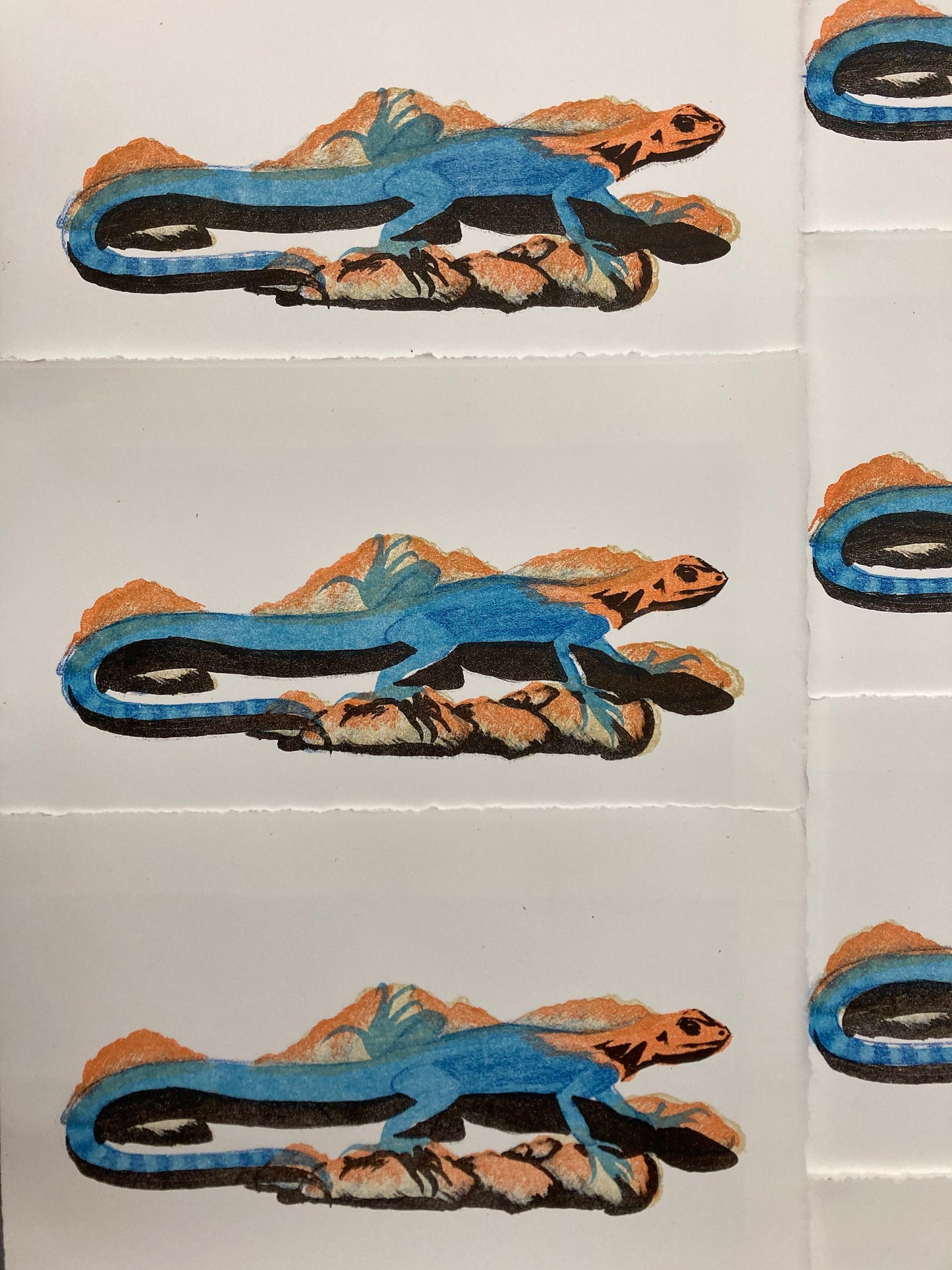 Red-Headed Agama Lizard Reptile Color Litho Print