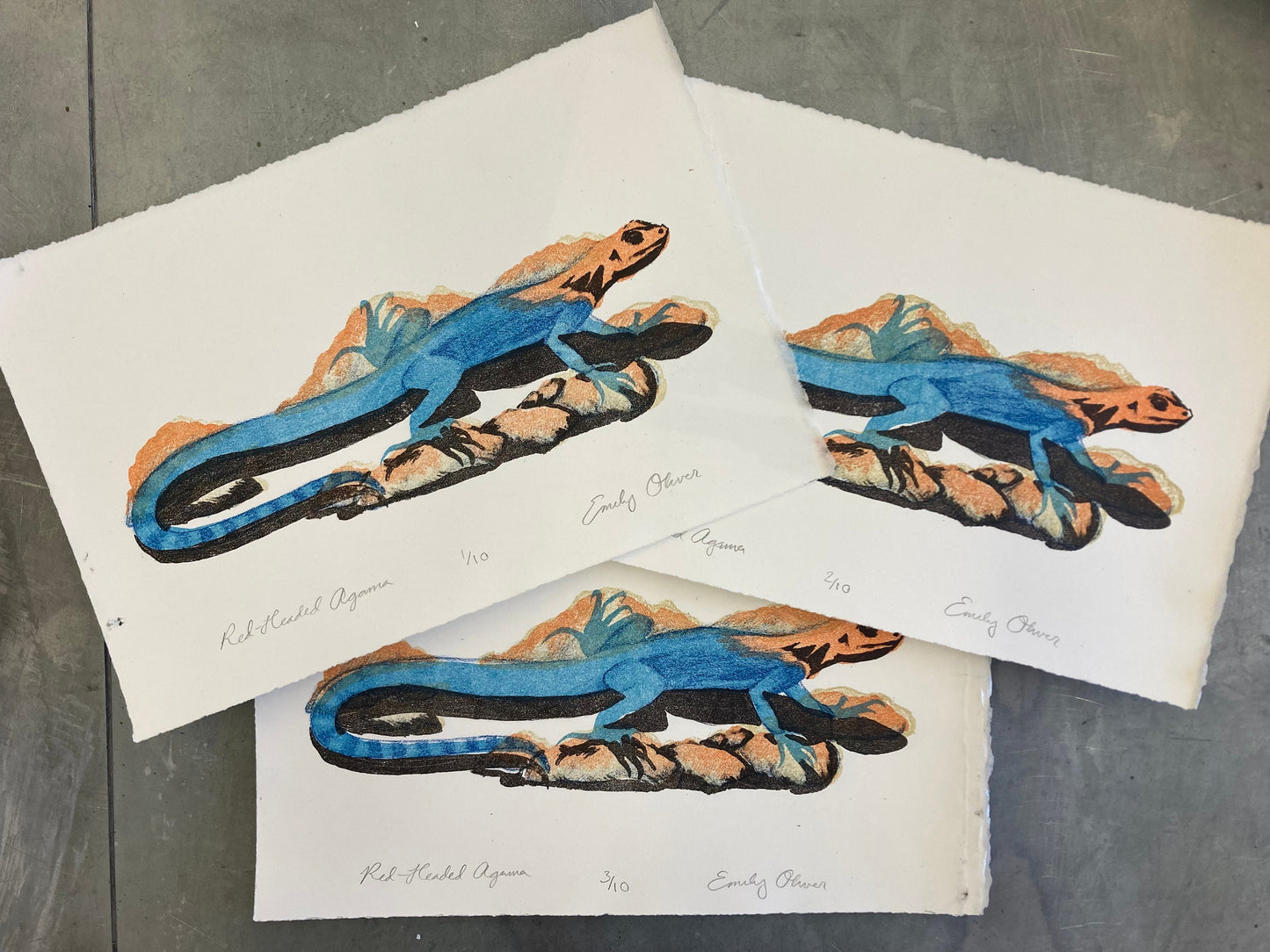 Red-Headed Agama Lizard Reptile Color Litho Print