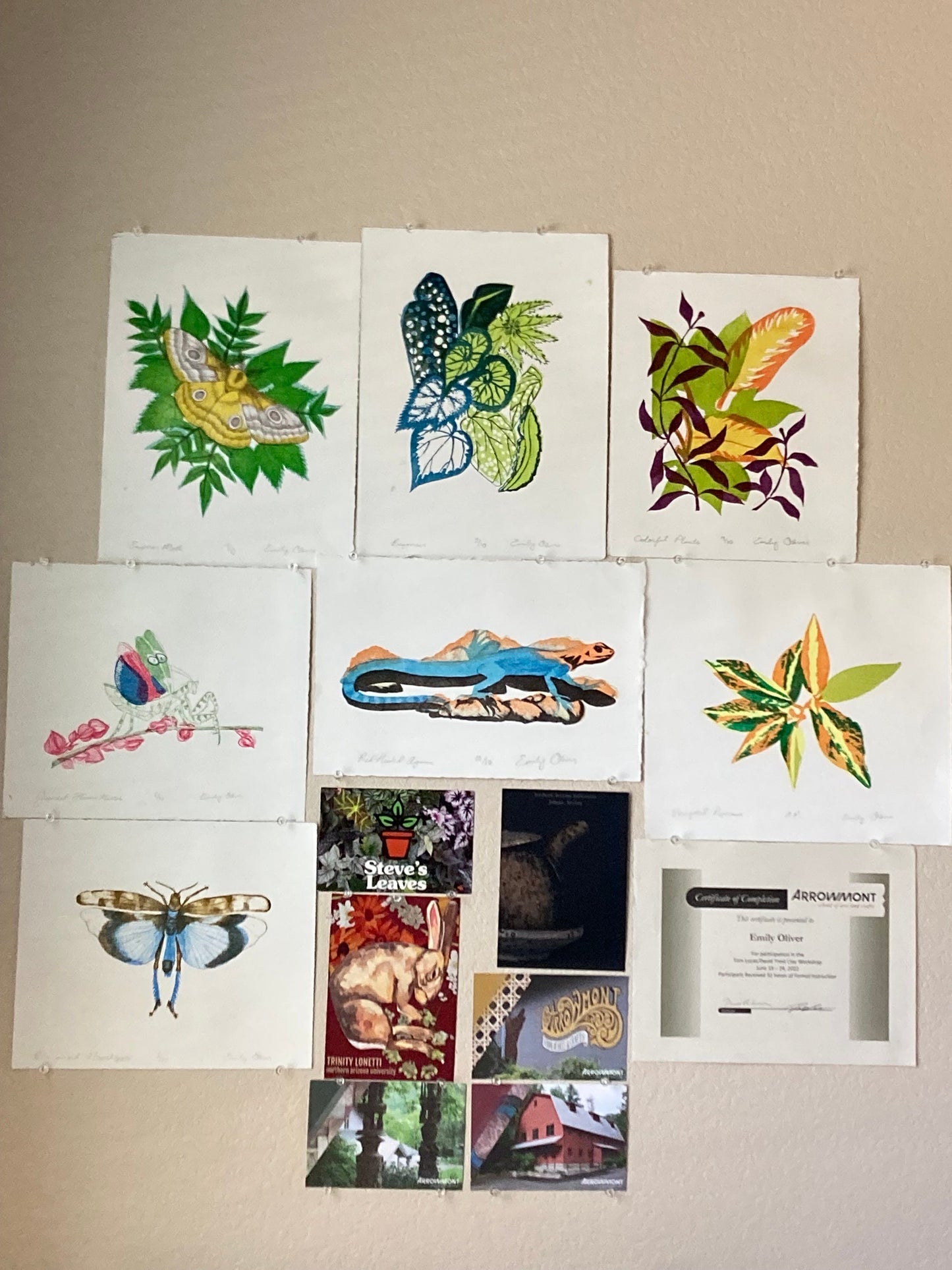 Variegated Peperomia Color Litho Print