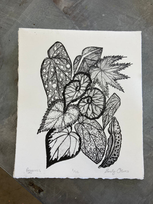 Begonia Leaves print