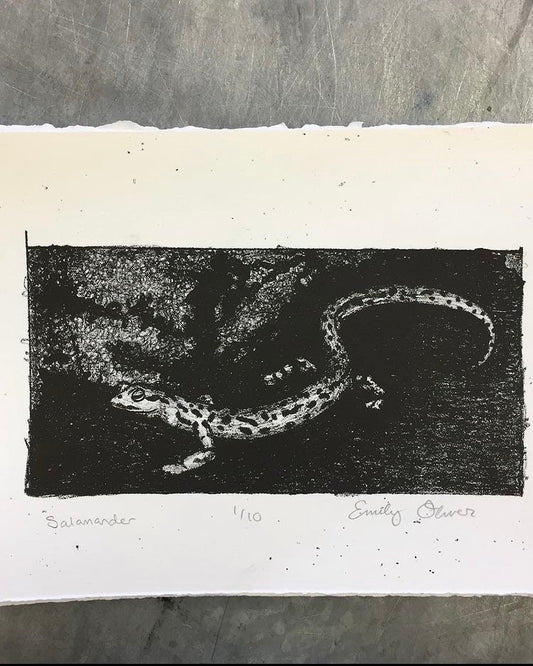 Salamander print