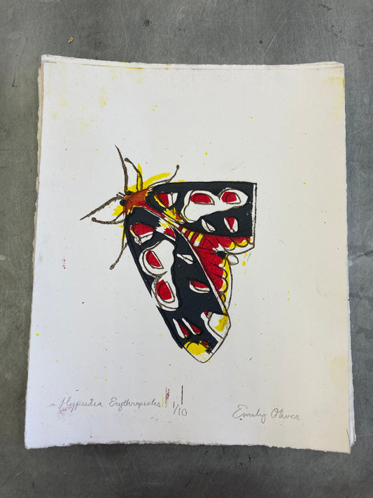 Colorful Moth print