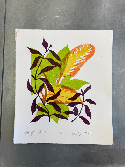 Houseplants Color Litho Print