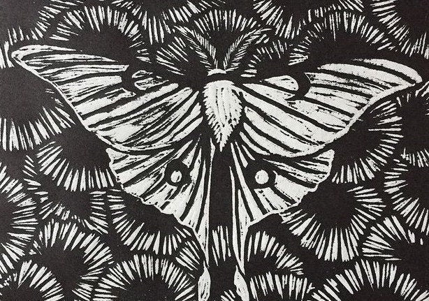 Luna Moth print