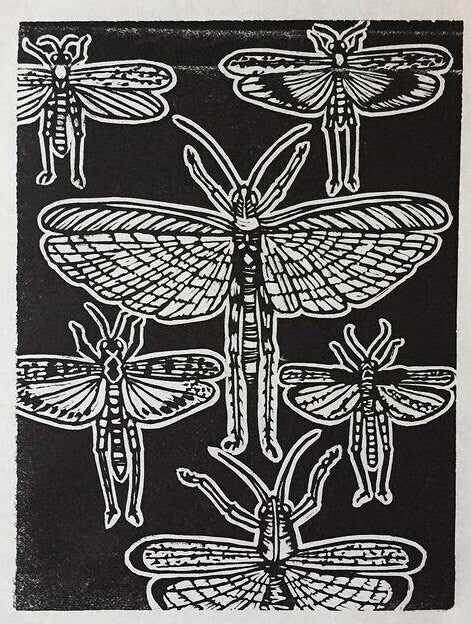 Grasshoppers print